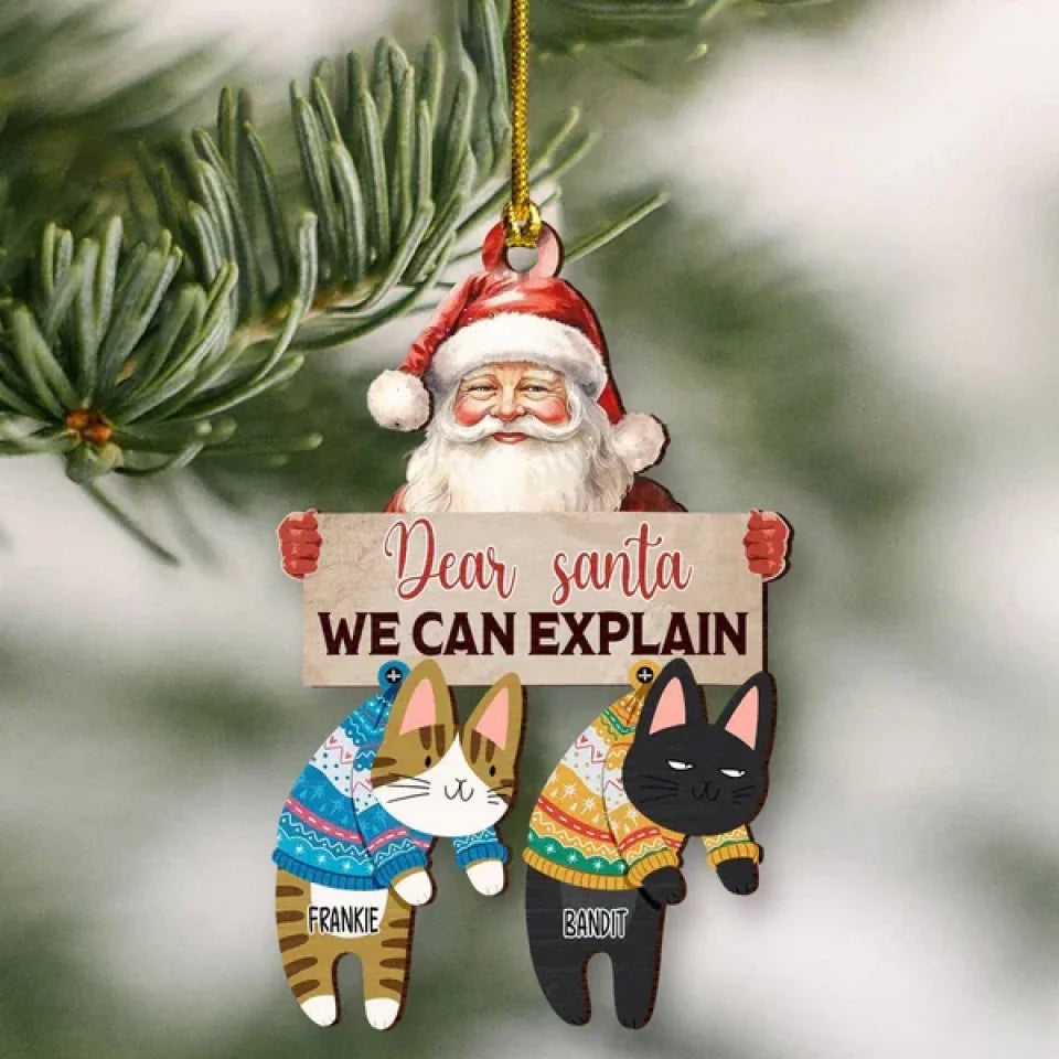 geckocustom-santa-we-can-explain-funny-cat-christmas-wood-ornament-personalized-gift-ho82-893106-36946454479025_600x