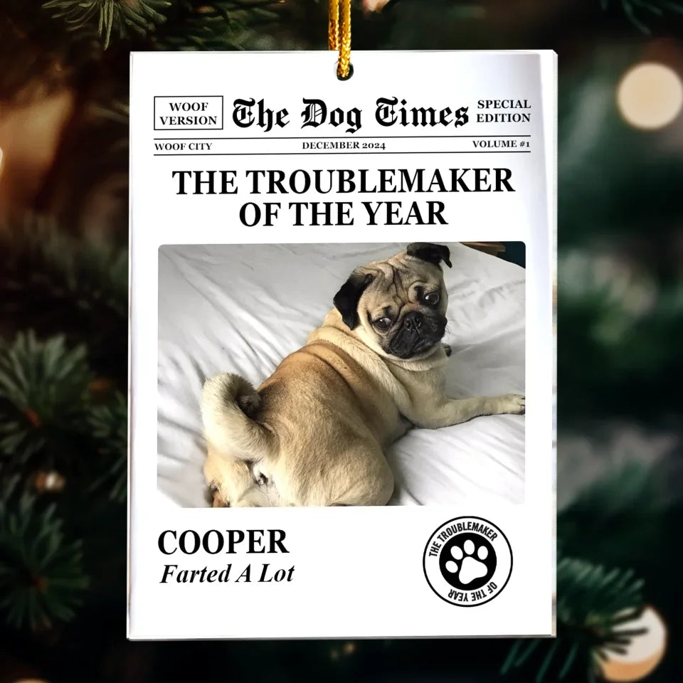 The-Meow-Times_-The-Dog-Times-Troublemaker-Of-The-Year-Personalized-Acrylic-Photo-Ornament_5